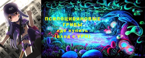 гидропоника Алзамай