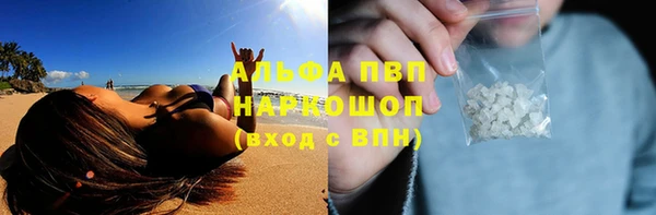 гидропоника Алзамай