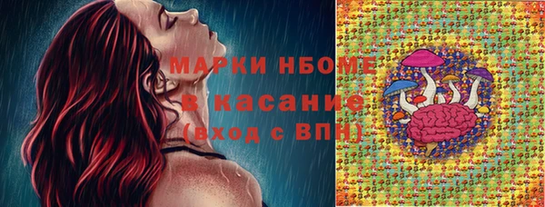гидропоника Алзамай