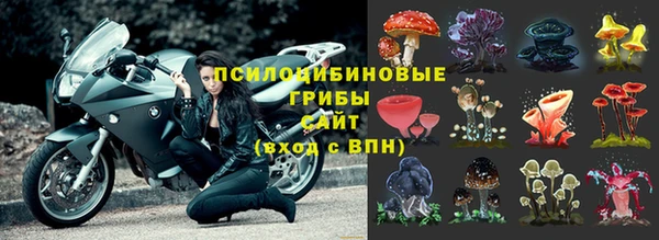 гидропоника Алзамай