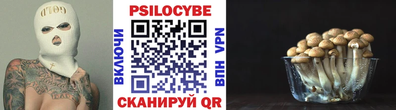 Псилоцибиновые грибы Magic Shrooms  цена   Сочи 